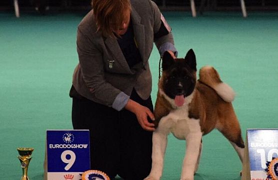 4 months old, Eurodogshow 9th best minor puppy in show